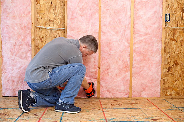 Types of Insulation We Offer in Fritch, TX